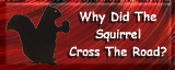 Squirrel Files
